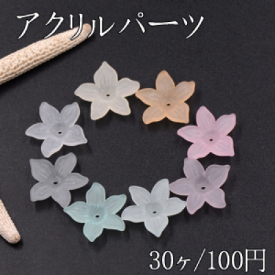 アクリルパーツ スクラブ 5弁花 穴あり 19×20mm 全8色【30ヶ】