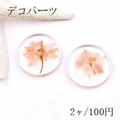 デコパーツ 樹脂コイン 38mm クリア ピンクのドライフラワー入り【2ヶ】