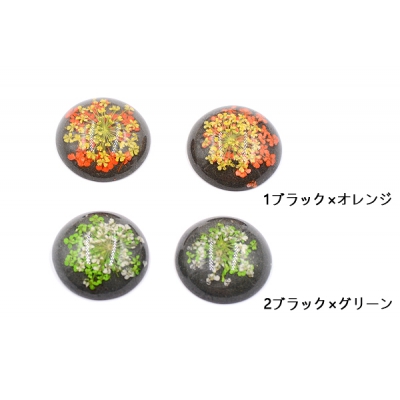 デコパーツ 樹脂パーツ 半円 25mm ドライフラワー付き【2ヶ】