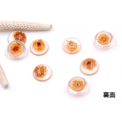 デコパーツ 樹脂パーツ 半円 15mm ドライフラワー付き【4ヶ】クリア×オレンジ