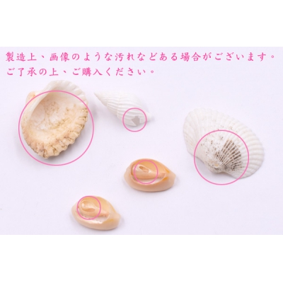 天然素材 シェル 穴あり ハンドメイド用【50g(約30ヶ)】