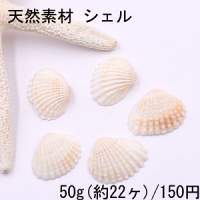 天然素材 シェル ハンドメイド用【50g(約22ヶ)】