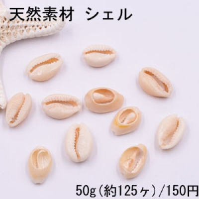 天然素材 シェル ハンドメイド用【50g(約125ヶ)】