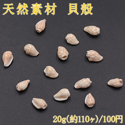 天然素材 貝殻 レジン封入用【20g】