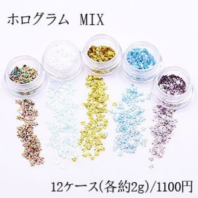 ホログラム MIX ネイルパーツ カラーミックス 12色セット 各2ｇ ケース付き