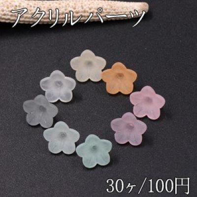 アクリルパーツ スクラブ 5弁花 穴あり 12×12mm 全8色【30ヶ】