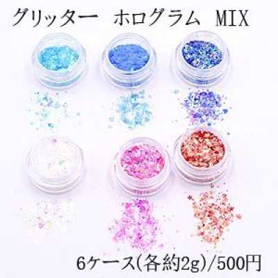 グリッター ホログラム MIX ネイルパーツ カラーミックス 6色セット 各2ｇ ケース付き