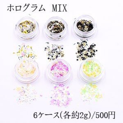 ホログラム MIX ネイルパーツ カラーミックス 6色セット 各2ｇ ケース付き