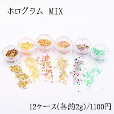 ホログラム MIX ネイルパーツ カラーミックス 12色セット 各2ｇ ケース付き