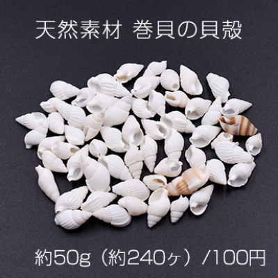 天然素材 巻貝の貝殻 ハンドメイド用【約50g（約240ヶ）】