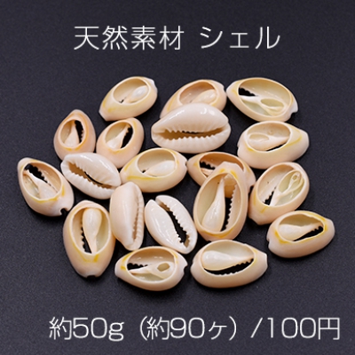 天然素材 シェル ハンドメイド用【約50g（約90ヶ）】