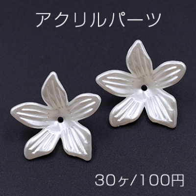 アクリルパーツ 5弁花 25mm ホワイト【30ヶ】