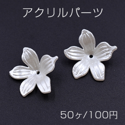 アクリルパーツ 5弁花 20mm ホワイト【50ヶ】