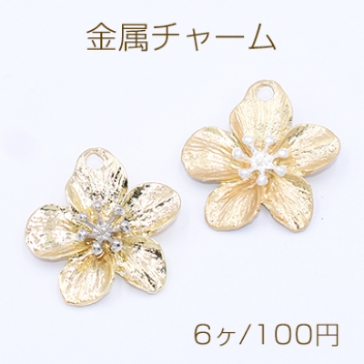 金属チャーム 5弁花 1穴 23×23mm【6ヶ】