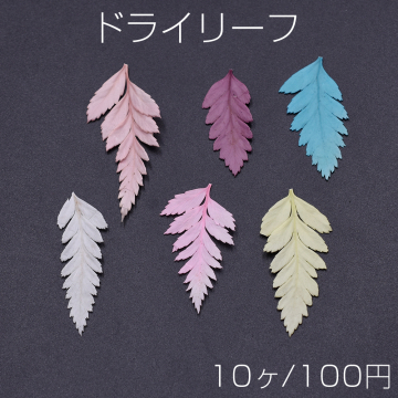 ドライリーフNo.3 ドライリーフ染色 レジン封入用【10ヶ】