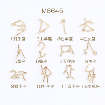 12星座チャーム レジン封入パーツ ゴールド（6ヶ）