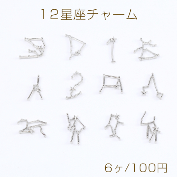 12星座チャーム レジン封入パーツ ロジウム（6ヶ）