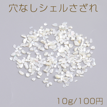 穴なしシェルさざれ 淡水シェル シェルさざれチップ 穴なしさざれチップ 不規則型（10g）