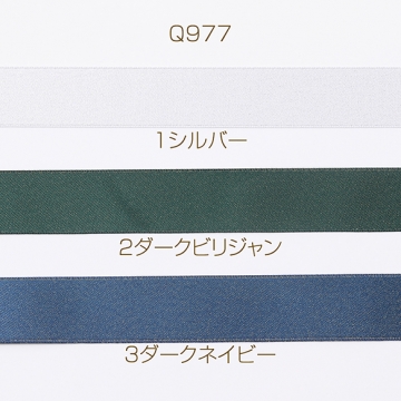 リボンテープ 幅約22mm（3m）