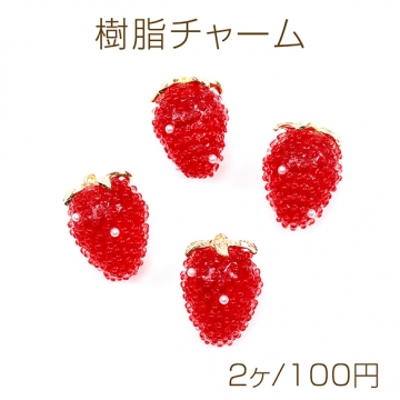 樹脂チャーム いちごチャーム イチゴチャーム 合金 手芸用品 アクセサリーパーツ 18×24mm (2ヶ)