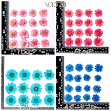 押し花 菊 真空パックドライフラワー デコパーツ 貼り絵 ハーバリウム 花材 UVレジン天然素材  (1パック)