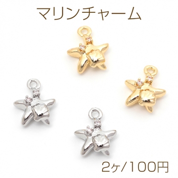 マリンチャーム ヒトデモチーフ シエル装飾 ピアス ストラップ キーホルダー制作におすすめ 1カン約9×10mm（2ヶ）
