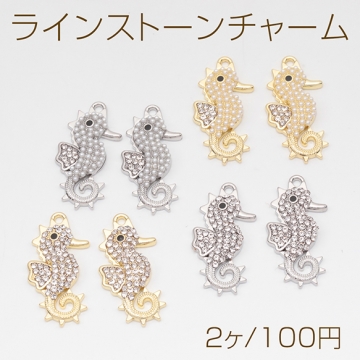 ラインストーンチャーム タツノオトシゴ 海 マリンチャーム 半面 メタルチャーム 約11.5×23mm（2ヶ）
