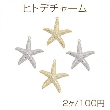 ヒトデチャーム 海洋モチーフ 表面凹凸加工 カン付き 半面 メタルチャーム 約36×43mm（2ヶ）