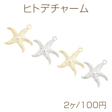 ヒトデチャーム 海洋モチーフ 表面凹凸加工 カン付き 半面 メタルチャーム 約34×39mm（2ヶ）