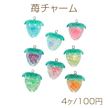 苺チャーム 樹脂チャーム ハンドメイド アクセサリーパーツ 約28×30mm (ランダム4ヶ)