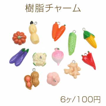 樹脂チャーム DIY リアル風樹脂 野菜チャームパーツ ミックス ハンドメイド アクセサリーパーツ  (ランダム6ヶ)