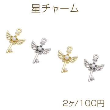星チャーム 羽根 ABSパール付き 翼 魔法のステッキ 杖 メタルチャーム 約13×18mm（2ヶ）