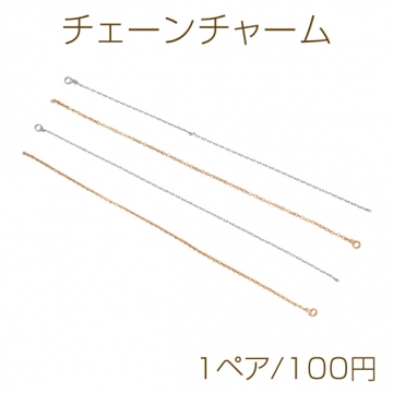 チェーンチャーム フリンジ メタルパーツ メタルチャーム 約0.5×80mm（1ペア）