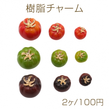 樹脂チャーム トマト 食品サンプル ミニチュアフード カン付き 約12×15mm（2ヶ）