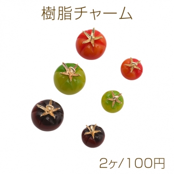 樹脂チャーム ミニトマト 食品サンプル ミニチュアフード カン付き 約15×17mm（2ヶ）
